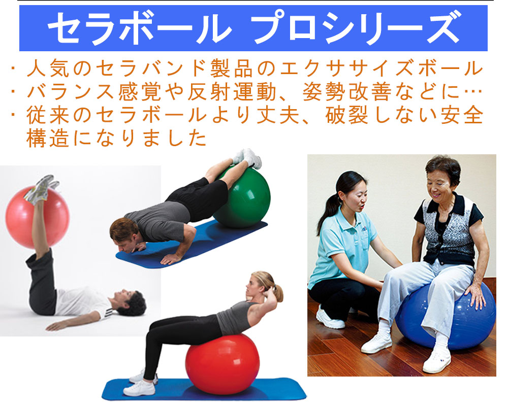 バランス訓練具 セラボール プロシリーズ 緑色 65cm【バランス