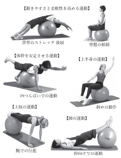 バランス訓練具 セラボール プロシリーズ【バランスボール THERA-BAND Exercise and Stability Ball - Pro  Series】