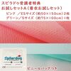 お試しセットＡ_スピラドゥ活用セミナーの受講者様への特別キャンペーン