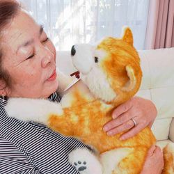撫でると鳴く、呼べば答えるぬいぐるみ介護ロボットなでなでワンちゃん 秋田犬ハチ