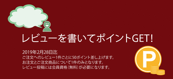 レビューポイント付与 キャンペーン