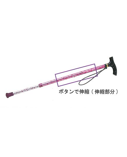 雨にも負けず　2段伸縮ステッキ