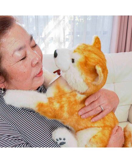 撫でると鳴く、呼べば答えるぬいぐるみ介護ロボットなでなでワンちゃん 秋田犬ハチ