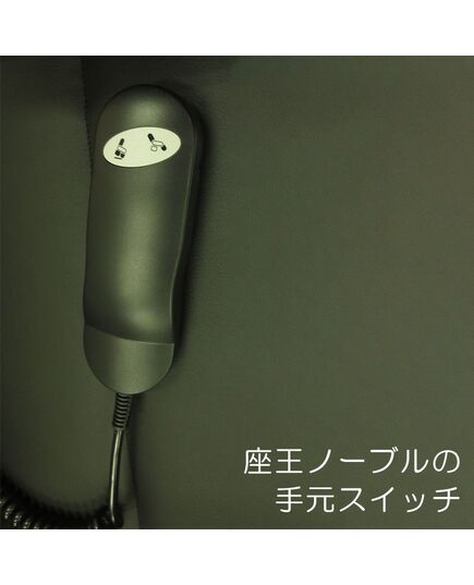 立ち上がり補助機能付きリクライニングチェア座王