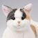 癒しのおもちゃ なでなでねこちゃんEX みけ