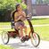 訓練用三輪車 リフトン トライサイクル２【Rifton Tricycle】
