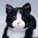 癒しのおもちゃ なでなでねこちゃんEX ハチワレ
