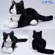 タキシードを着たようなハチワレねこ
