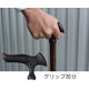 かるがも 4ポイントステッキ