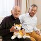 撫でると鳴く、呼べば答えるぬいぐるみ介護ロボットなでなでワンちゃん 秋田犬ハチ