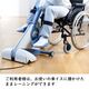 下肢・上肢トレーニング用エルゴメーター　セラトレーナー ティーゴ